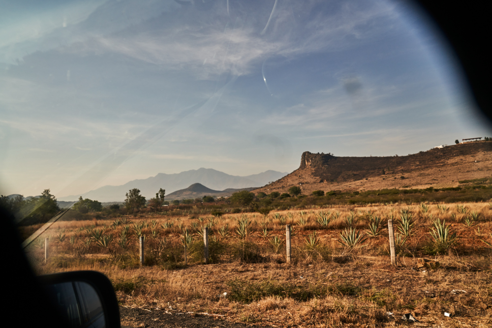 220406_Oaxaca_AURORA_003