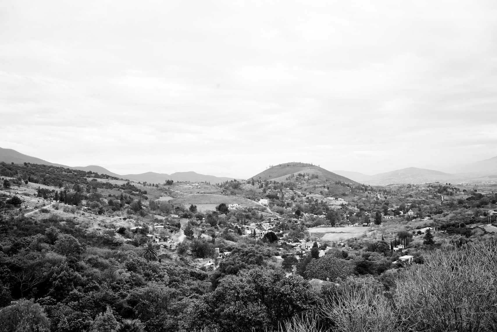 DSC02862