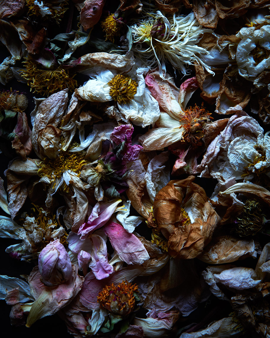 GH_BOTANICALS_011