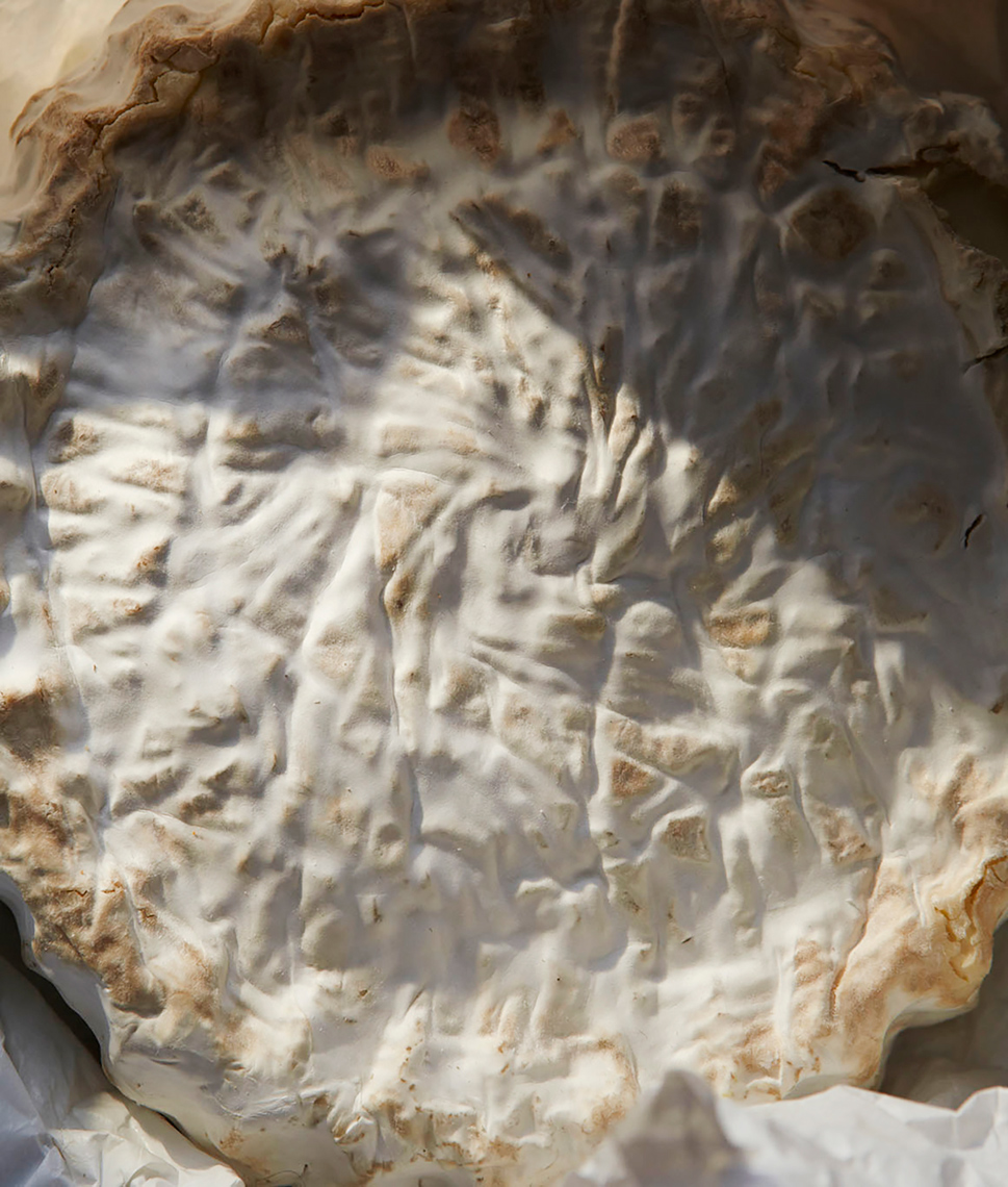 Buvette Cookbook