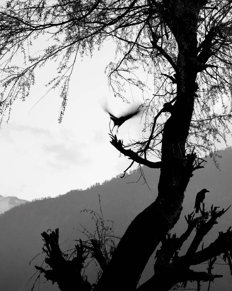 GH_TRAVEL_BHUTAN_33