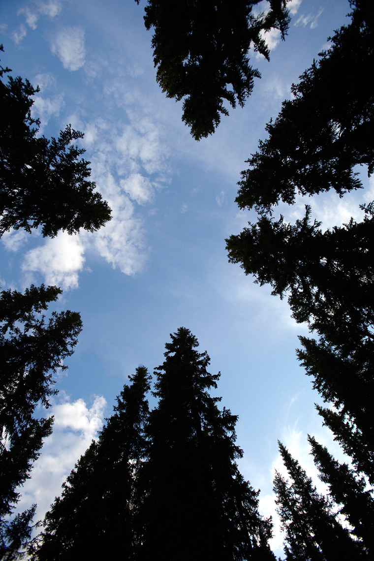 GH_TRAVEL_SWEDEN_16